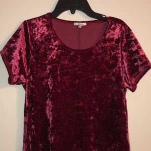 Maroon Velvet Z Supply dress